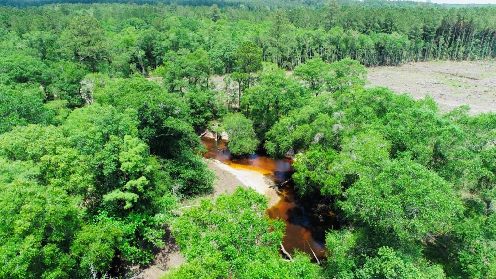 Alapaha River Homeplace Photo