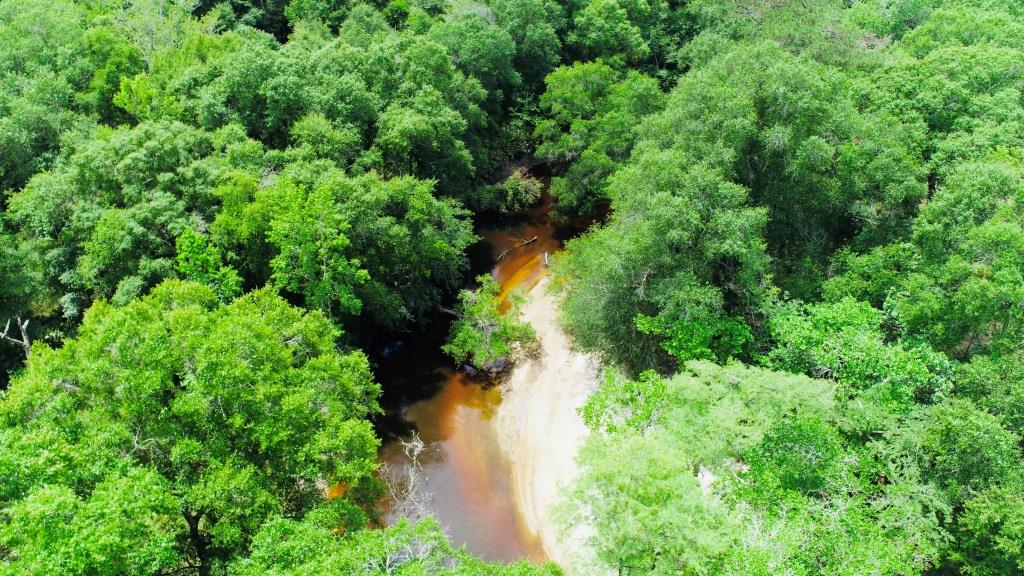 Alapaha River Homeplace Photo