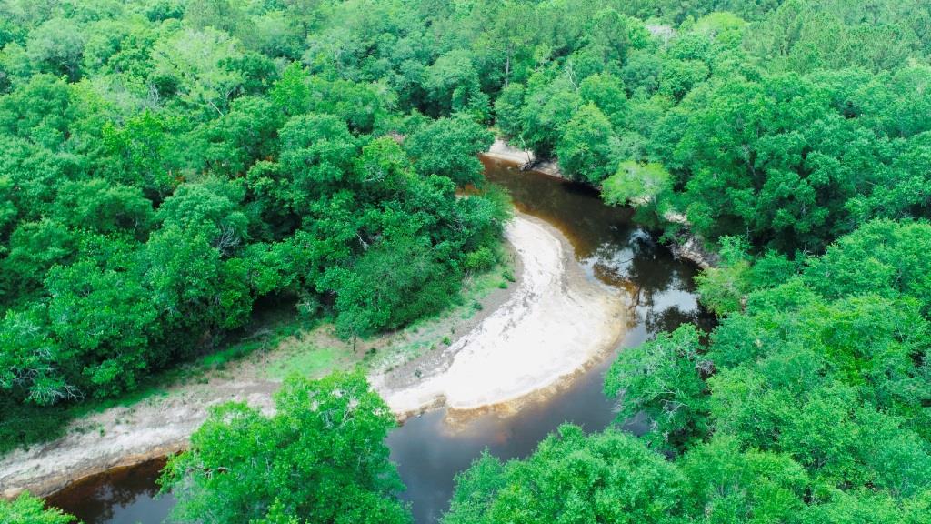 Alapaha River Homeplace Photo