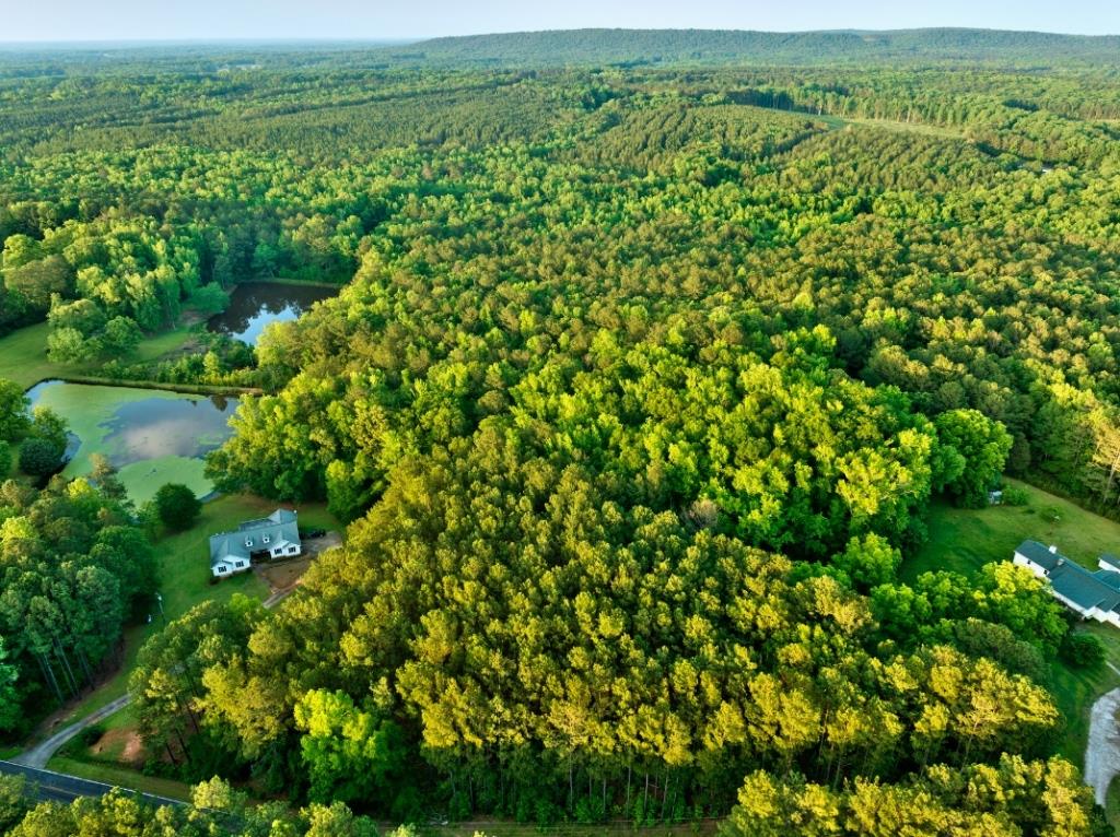 Upson County Homesite Photo