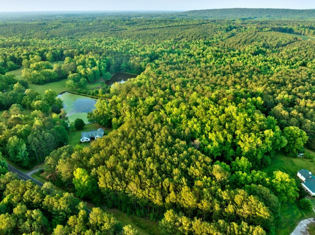 Upson County Homesite Photo