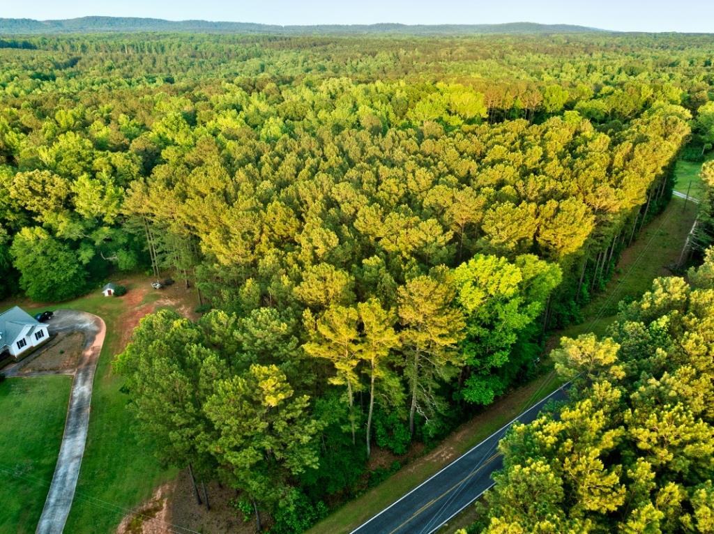 Upson County Homesite Photo