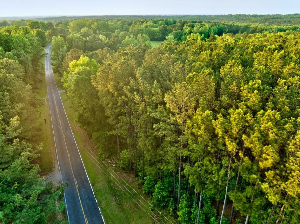 Upson County Homesite Photo