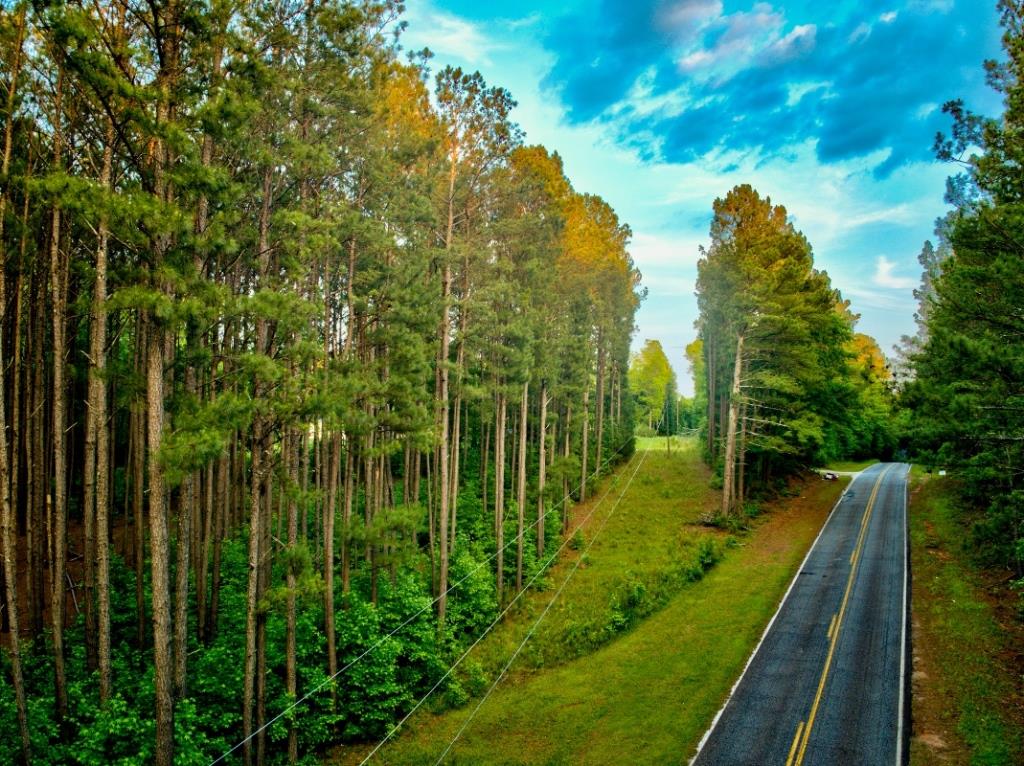 Upson County Homesite Photo