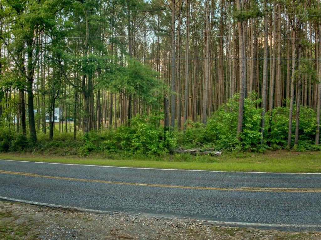 Upson County Homesite Photo