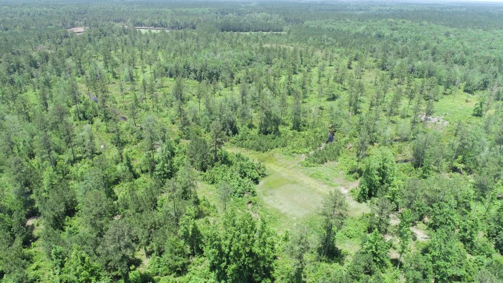 Old Louisville Road Tract Photo