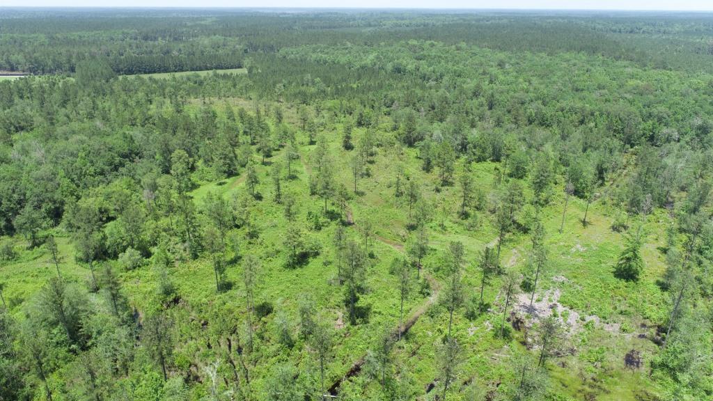 Old Louisville Road Tract Photo