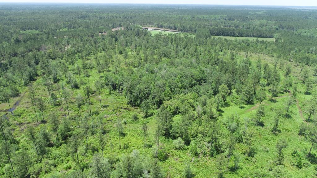 Old Louisville Road Tract Photo