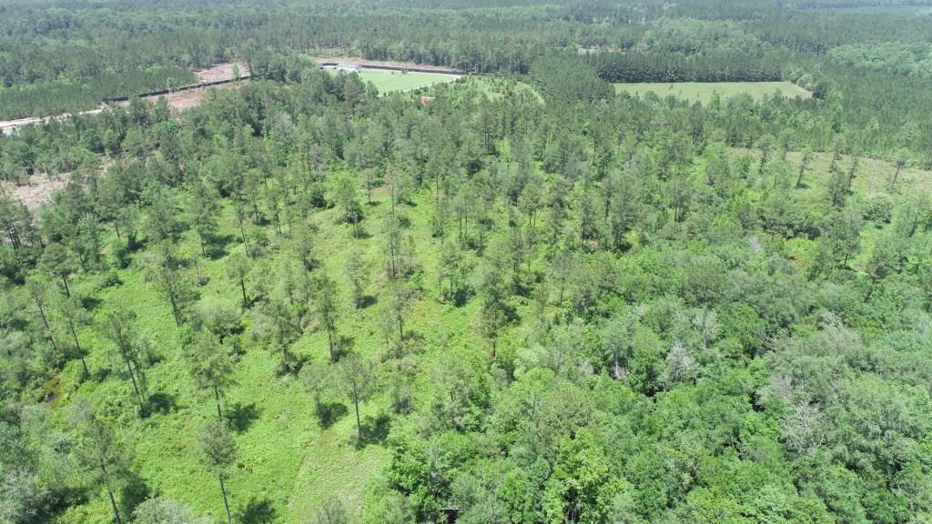 Old Louisville Road Tract Photo