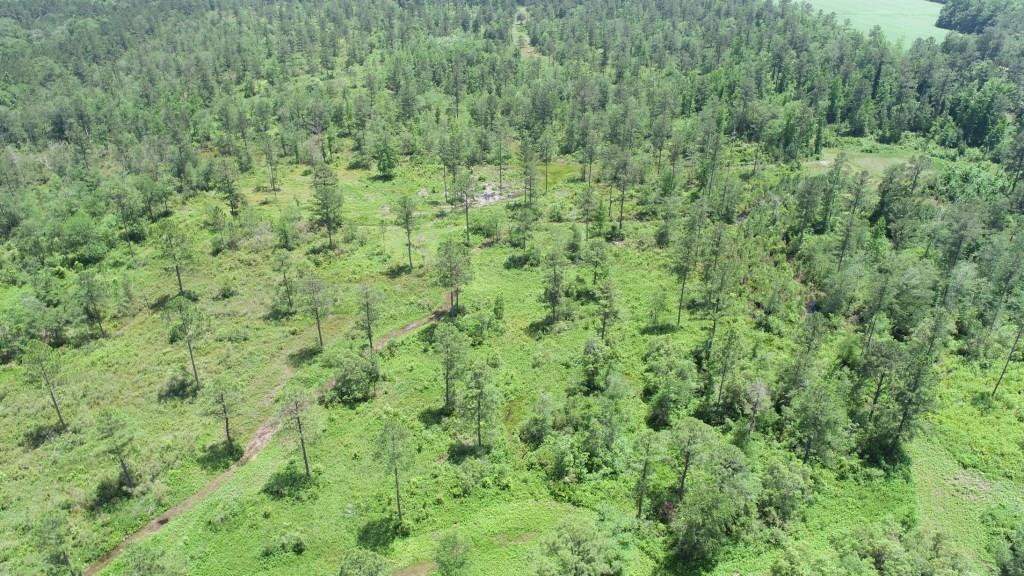 Old Louisville Road Tract Photo