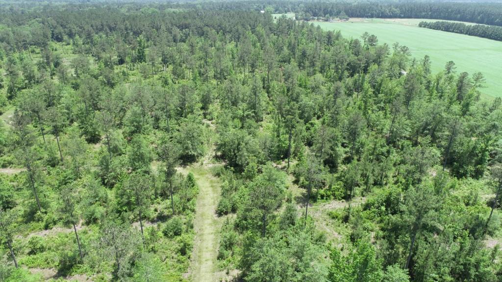 Old Louisville Road Tract Photo