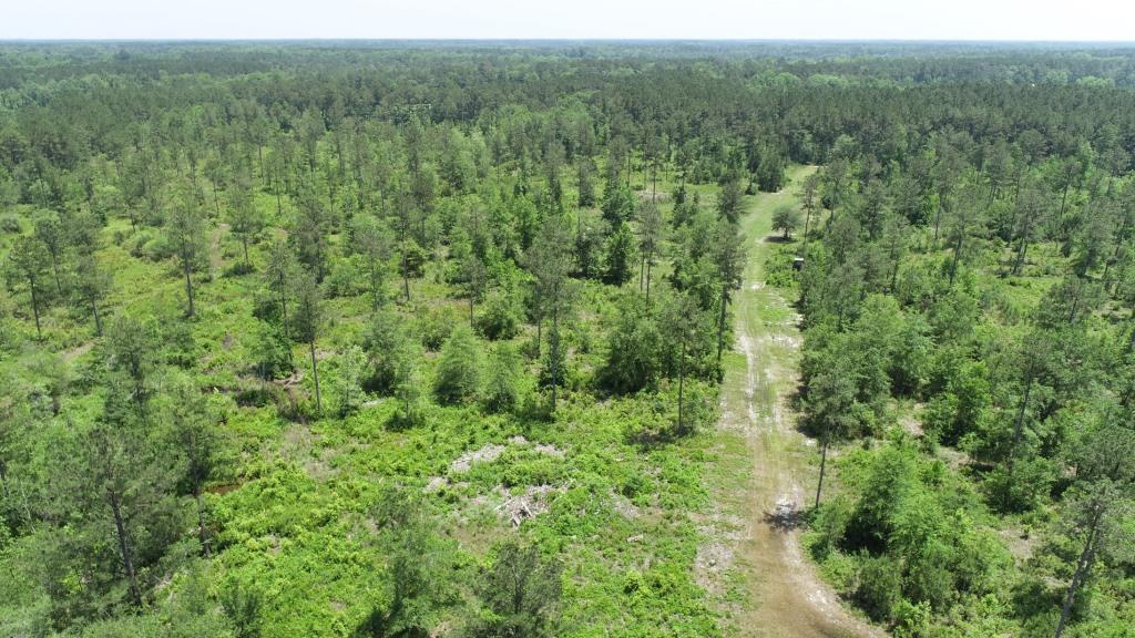 Old Louisville Road Tract Photo