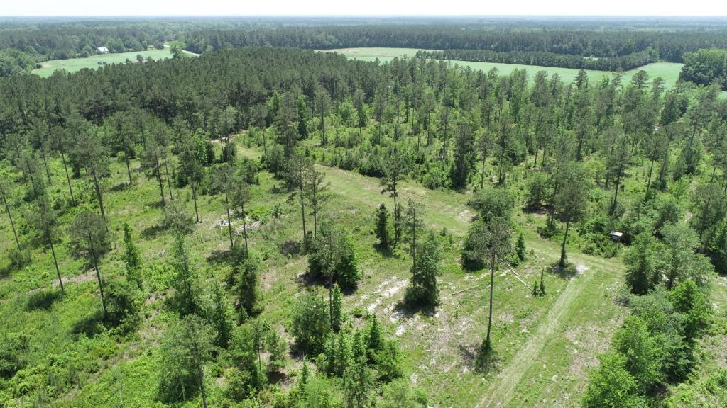 Old Louisville Road Tract Photo