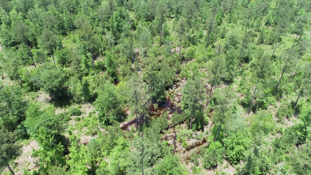 Old Louisville Road Tract Photo