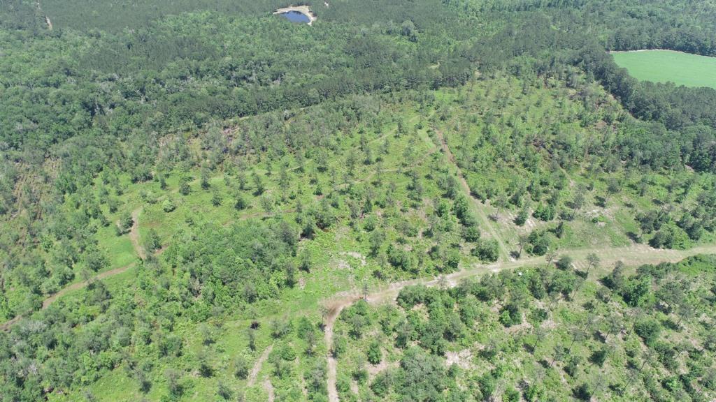 Old Louisville Road Tract Photo