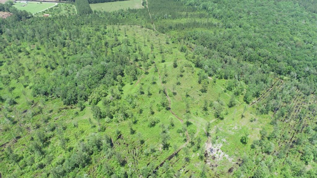 Old Louisville Road Tract Photo