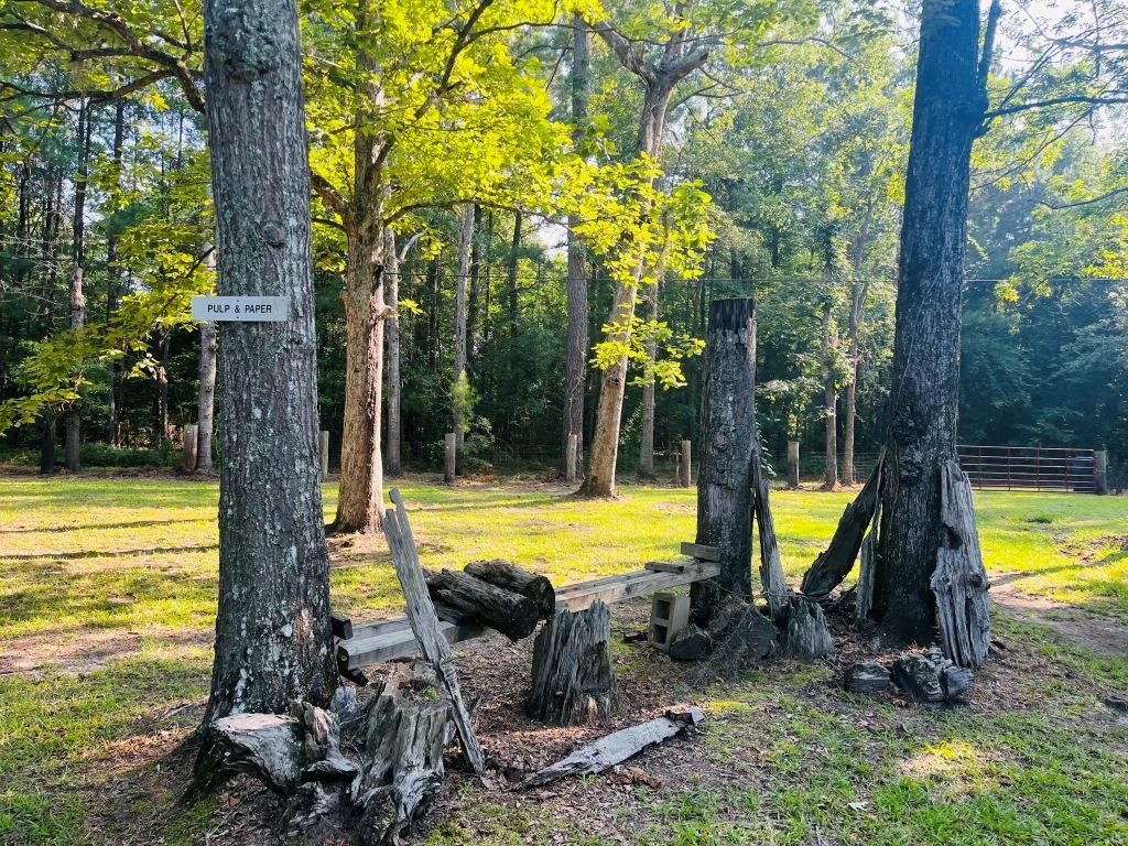 Ogeechee River Getaway Photo