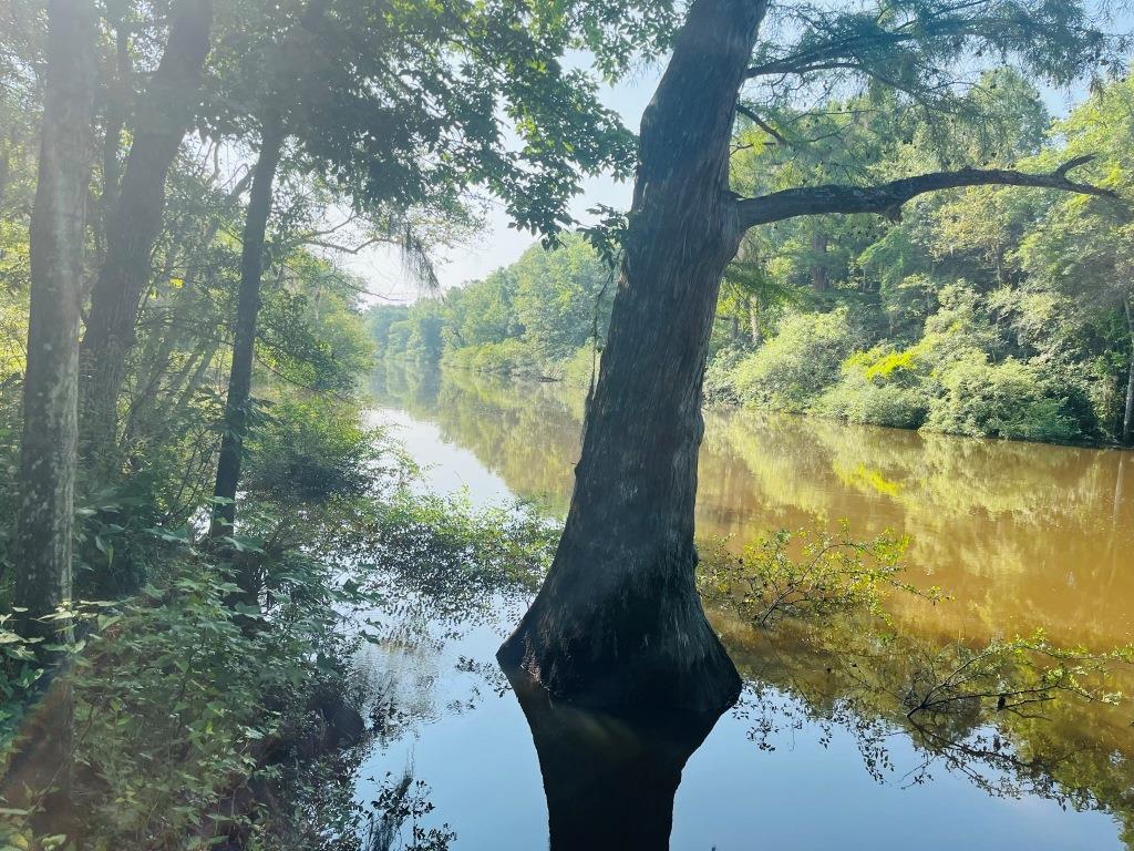 Ogeechee River Getaway Photo