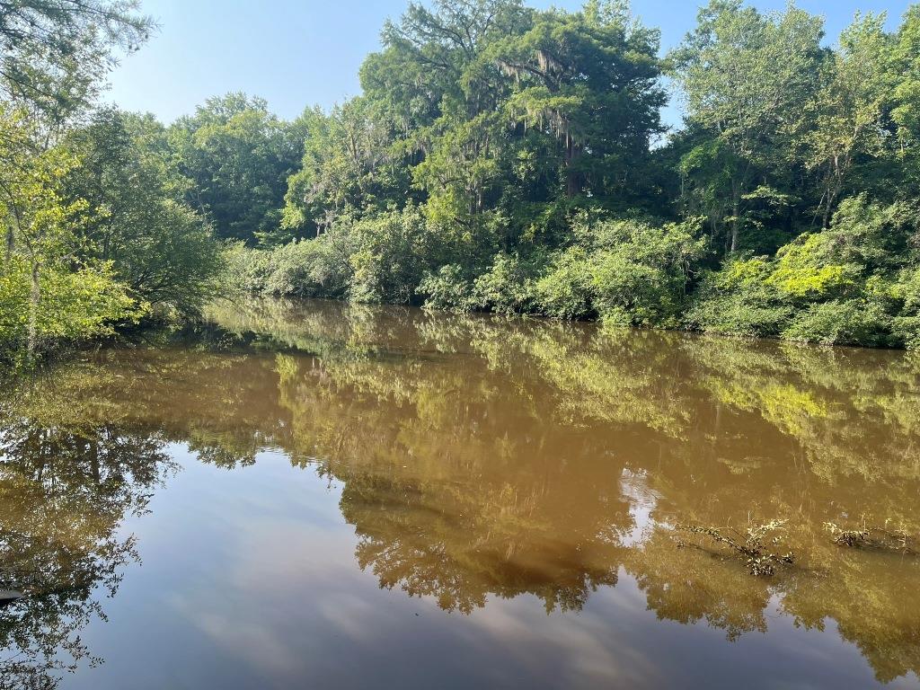 Ogeechee River Getaway Photo