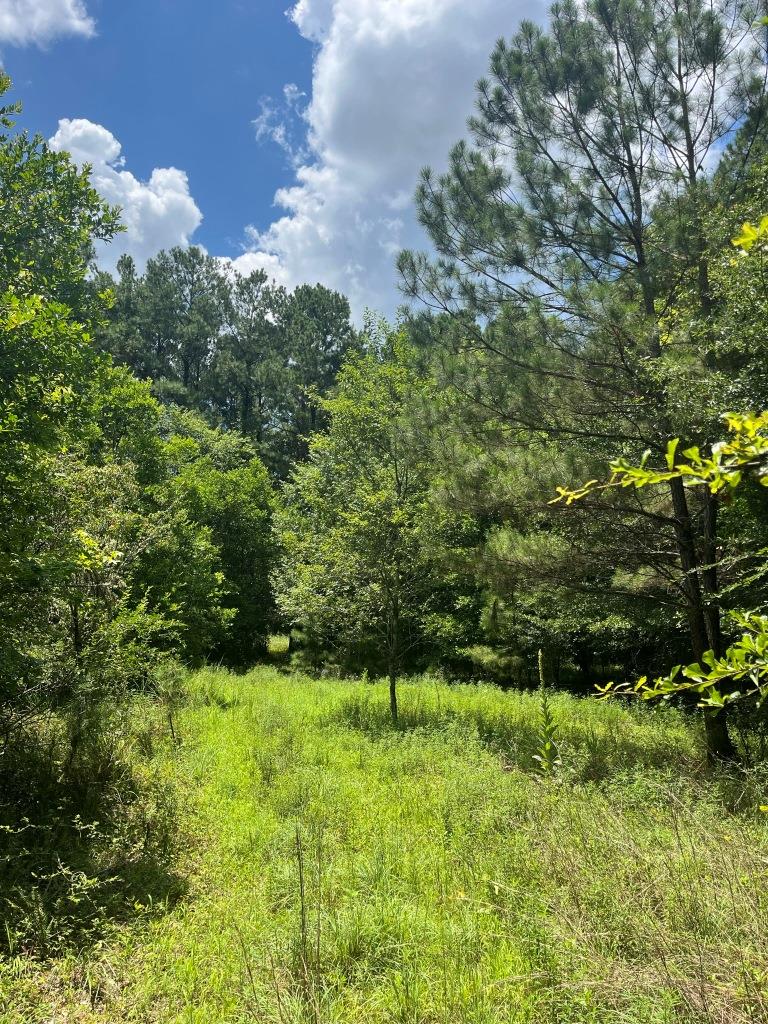 Williamson Creek Homesite Photo