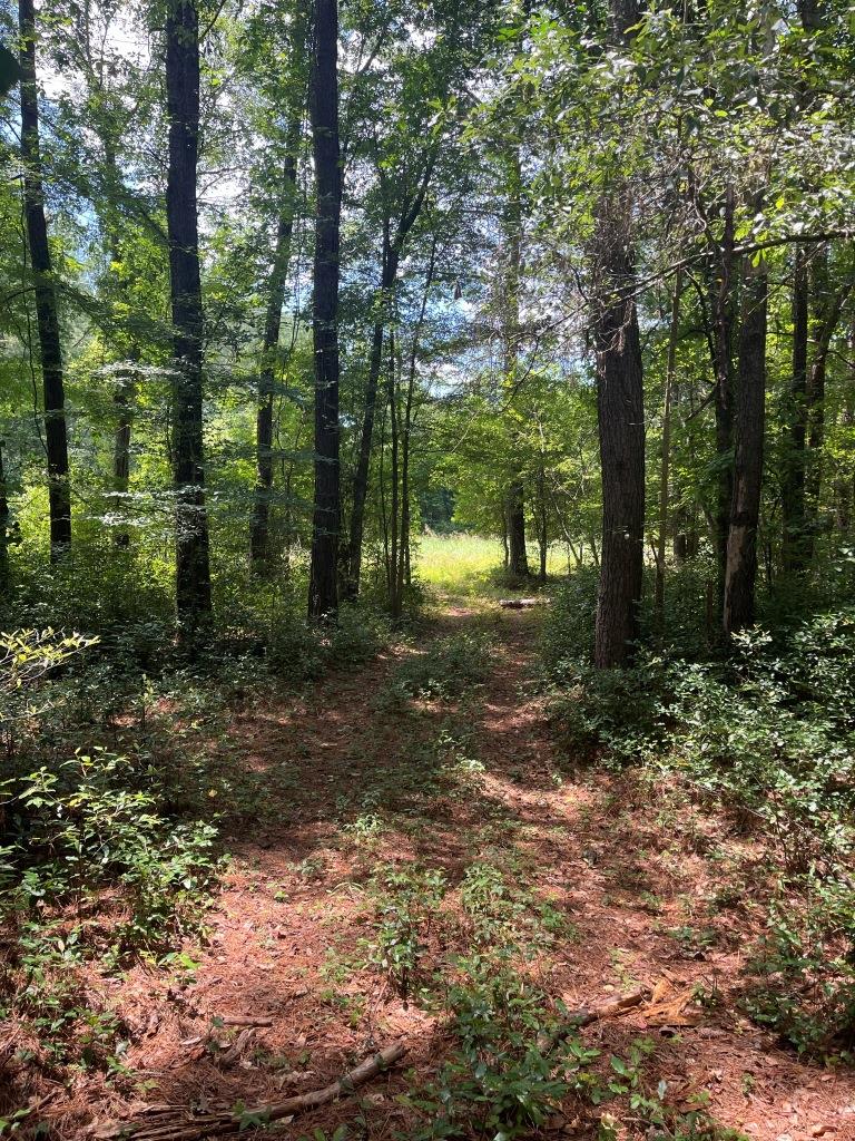 Williamson Creek Homesite Photo