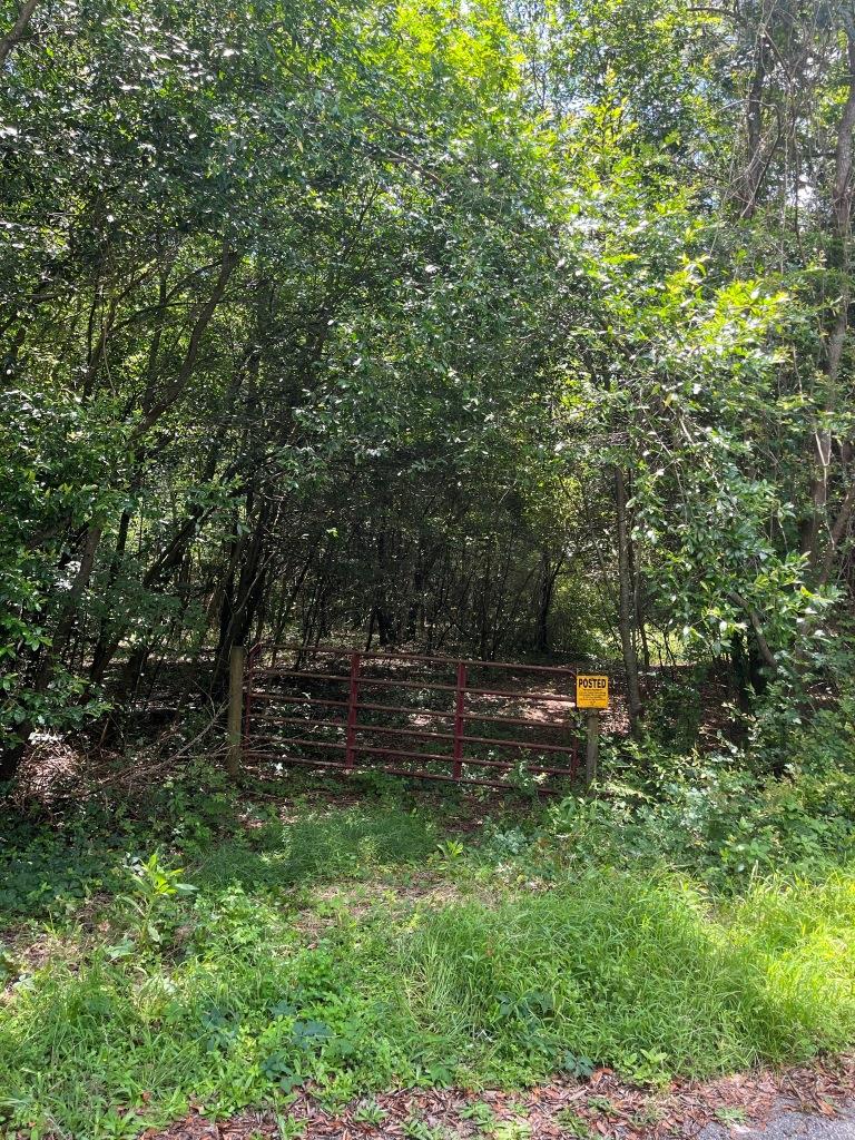 Williamson Creek Homesite Photo