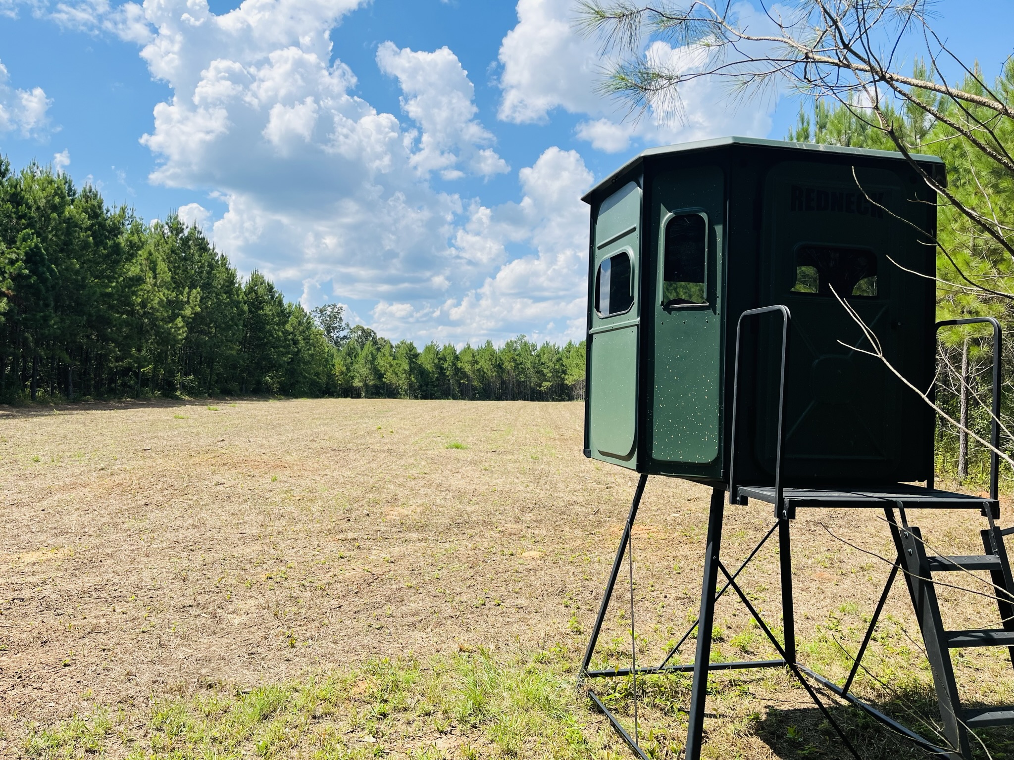 Brushy Creek Timber Photo