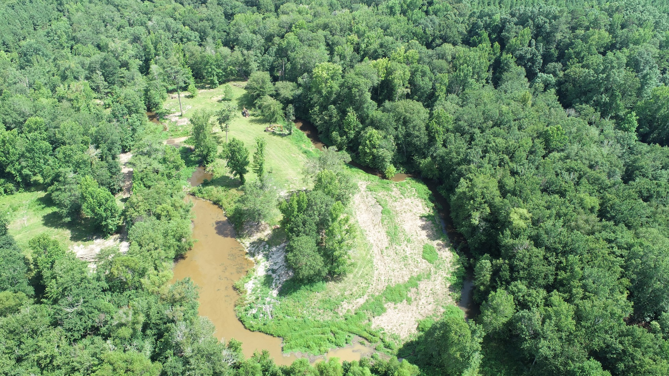 Brushy Creek Timber Photo