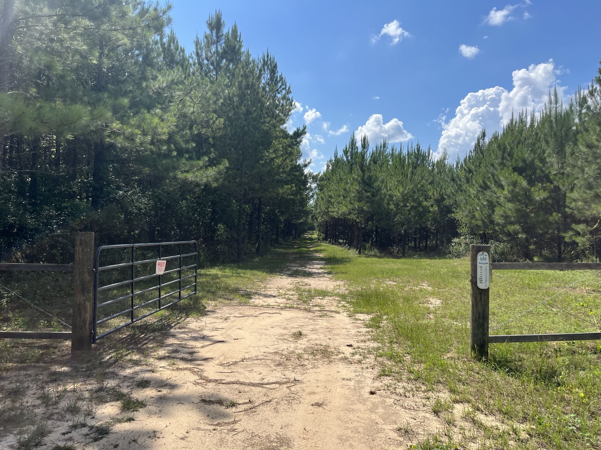 Brushy Creek Timber Photo