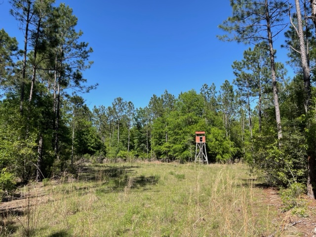 Little Ohoopee River Photo