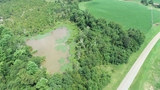 Double Pond Photo