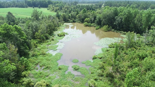 Double Pond Photo