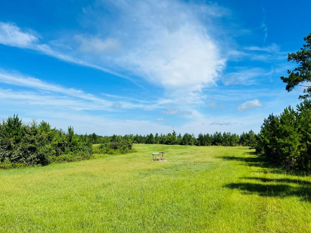 Pine Haven Farm Photo