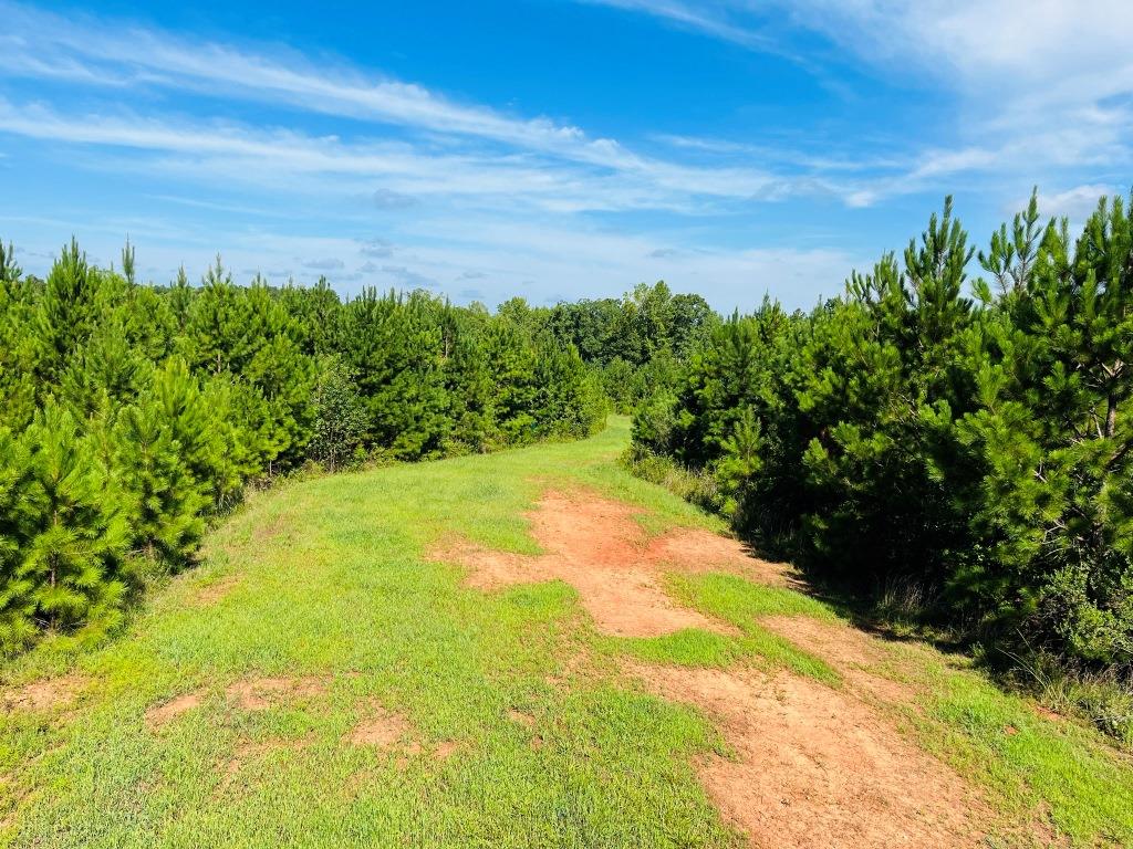 Pine Haven Farm Photo