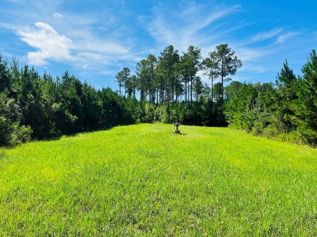 Pine Haven Farm Photo