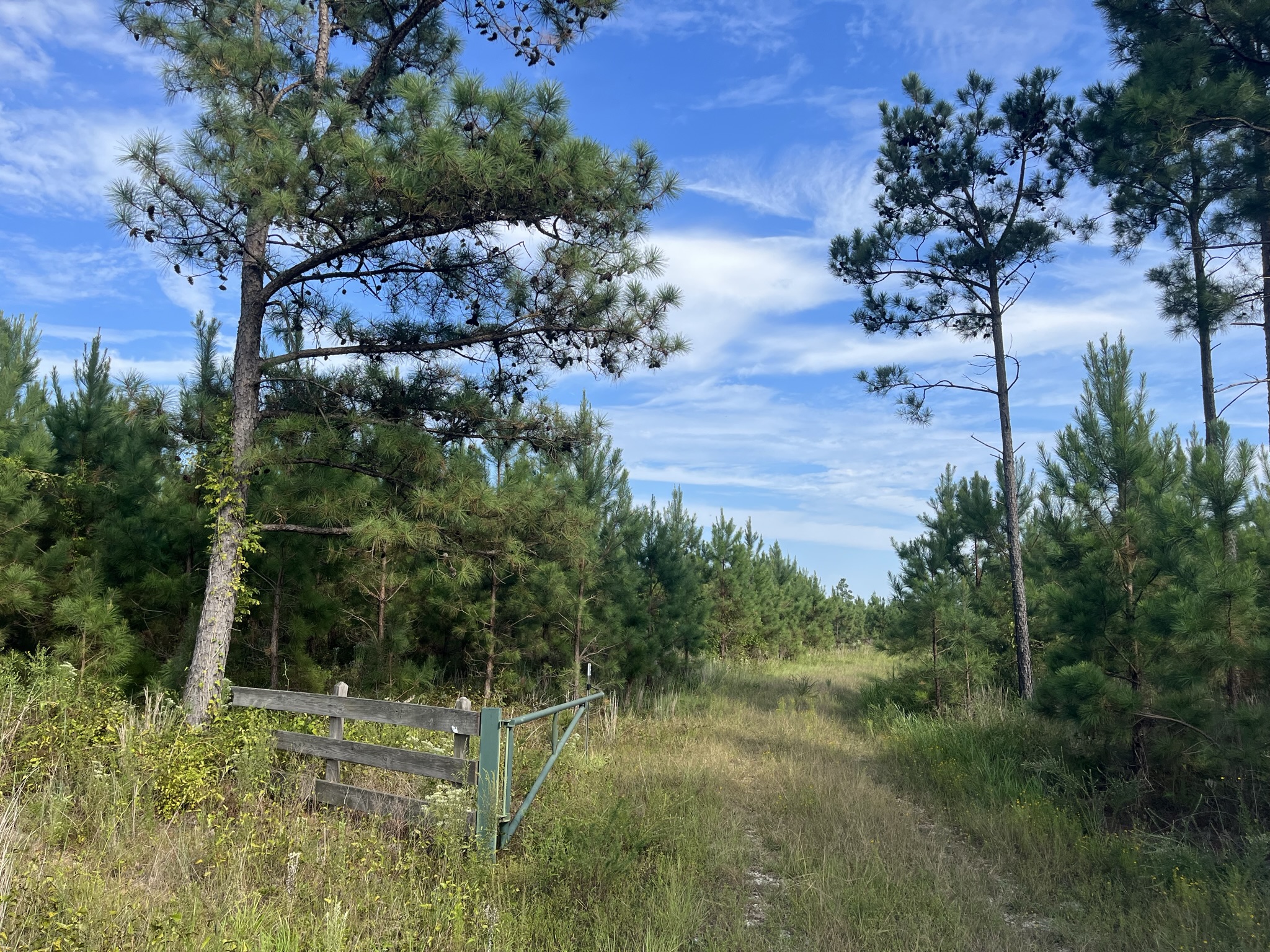 Schaffer Creek Farm Photo