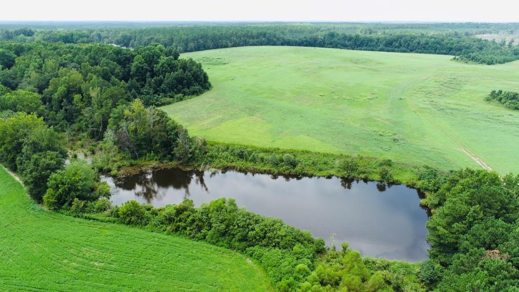 Little Brier Creek Farm Photo