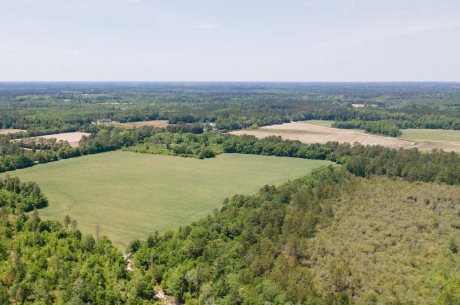 68 Acres Southeast Bulloch Co.