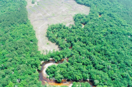 Alapaha River Homeplace