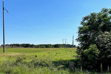 Commercial Lot in Bulloch County