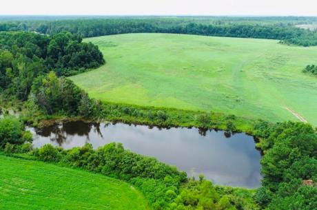 Little Brier Creek Farm