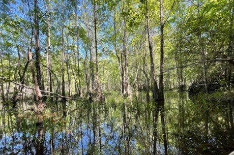 Little Ohoopee River