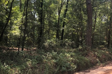 Mill Creek Homesite