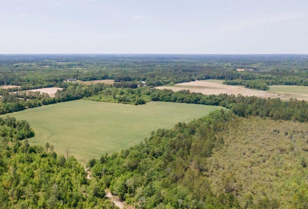 68 Acres Southeast Bulloch Co. Photo