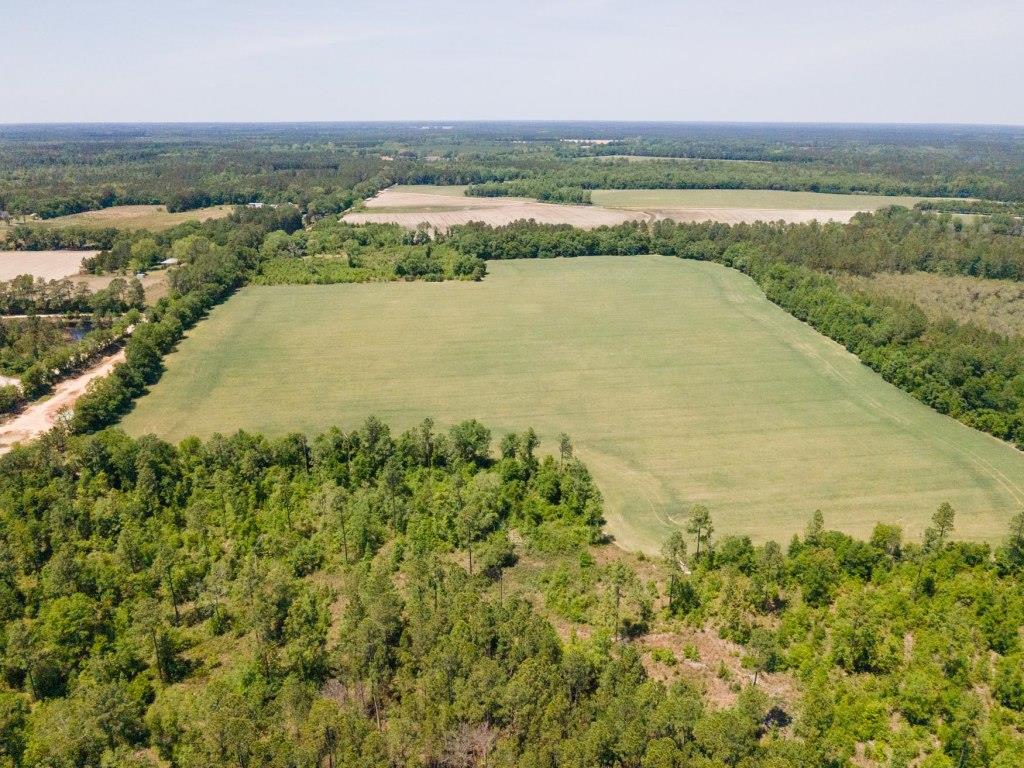 68 Acres Southeast Bulloch Co. Photo