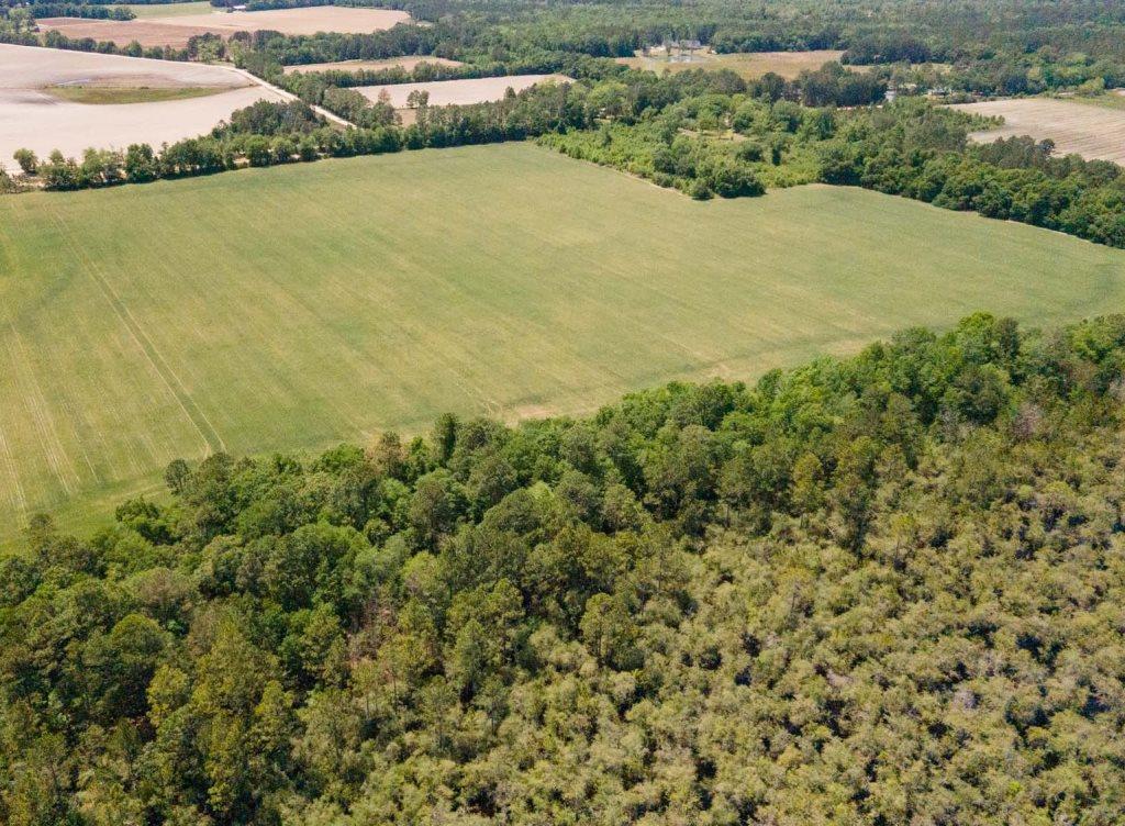 68 Acres Southeast Bulloch Co. Photo