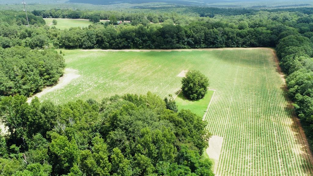 Fall Line Farm Photo