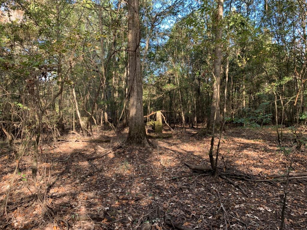 301 Ogeechee River Tract Photo