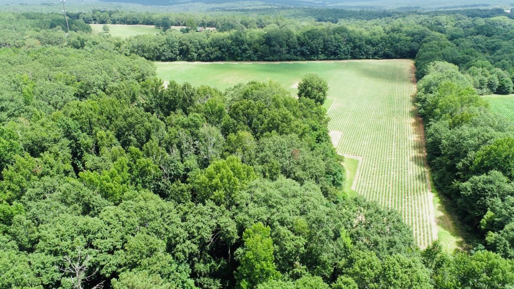 Fall Line Farm Photo