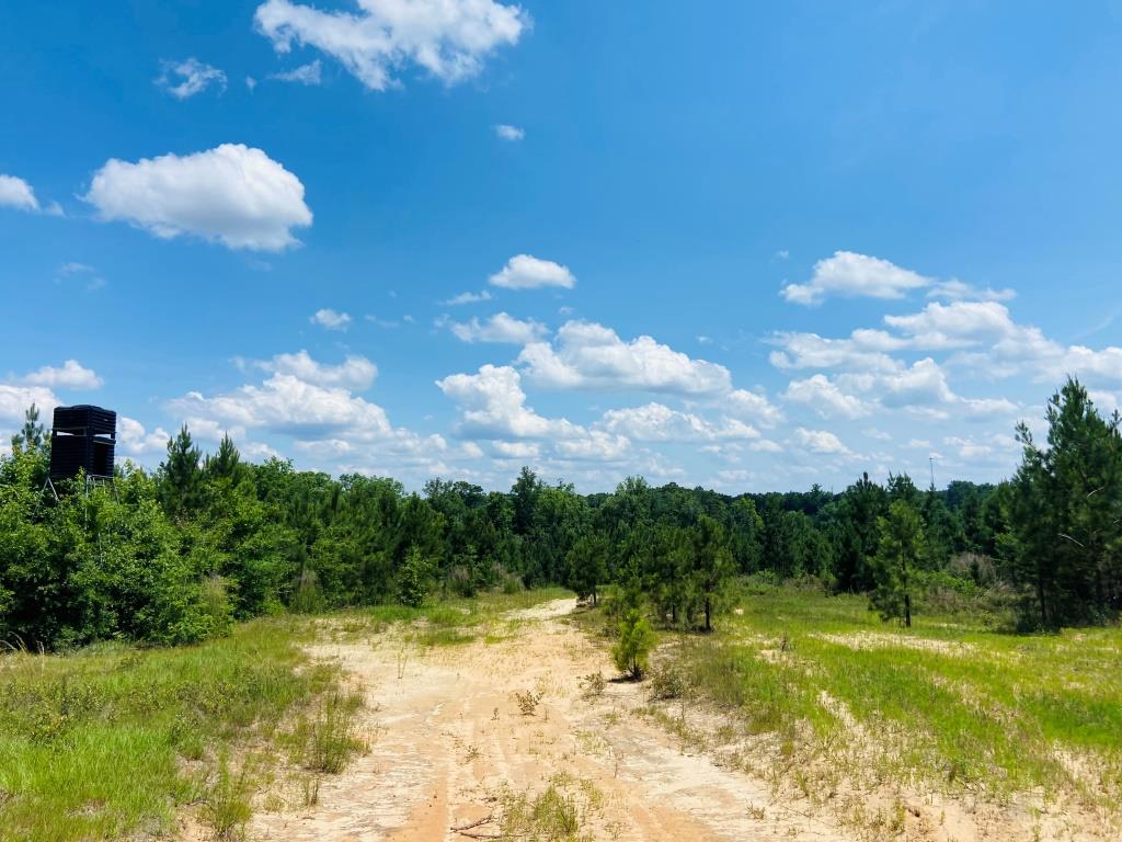 Holanna Creek Hunt Camp Photo